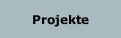 Projekte